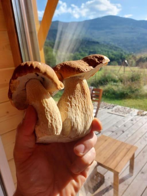 Panorama Sucha Gora ,Lesny Domek Skawica  Exteriör bild